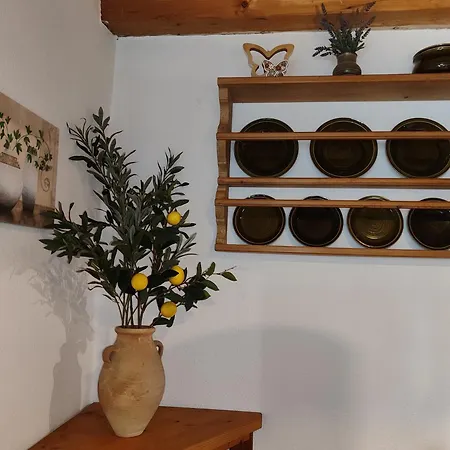 Apartament 84Qm Ferienwohnung Mit Garten Und Terrasse In Ruhiger Lage
