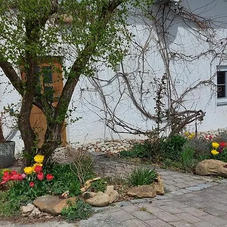 Ruhig Gelegene Im Gruenen Mit Terrasse Und Kleinem Garten